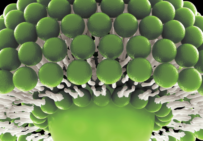 cbd lipofusion technology