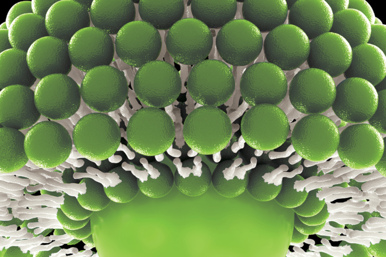 cbd lipofusion technology